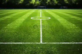 國米,敗都靈,布羅佐維奇,时时彩,彩票平台,数据分析,在线投注,高频彩票