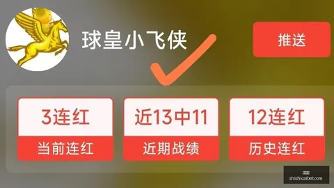 世界杯淘汰赛克罗地亚表现抢眼：其强大韧性背后的秘密