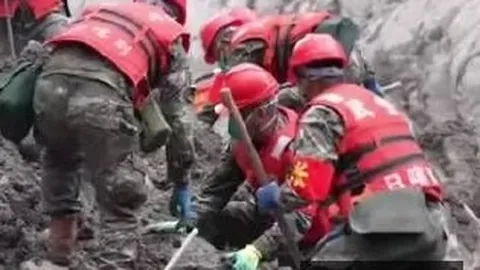 热门游戏销量，高频彩票，攀升，新版本口碑爆棚
